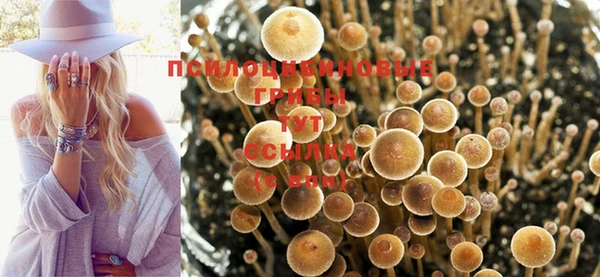 ПСИЛОЦИБИНОВЫЕ ГРИБЫ Покачи